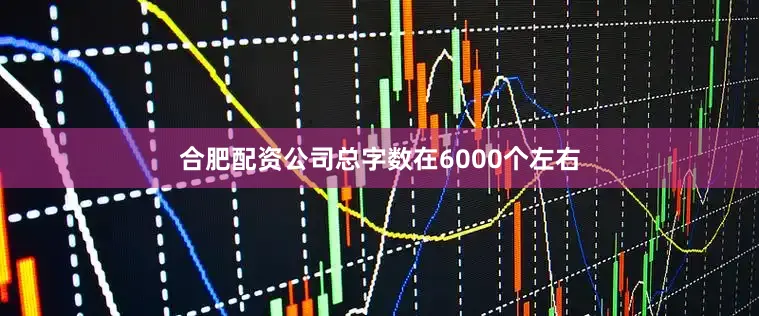 合肥配资公司总字数在6000个左右