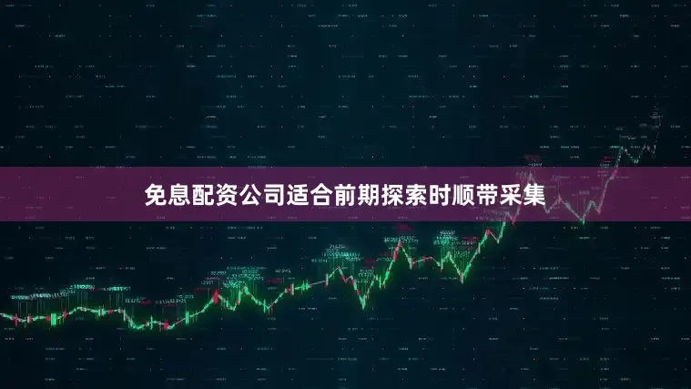免息配资公司适合前期探索时顺带采集