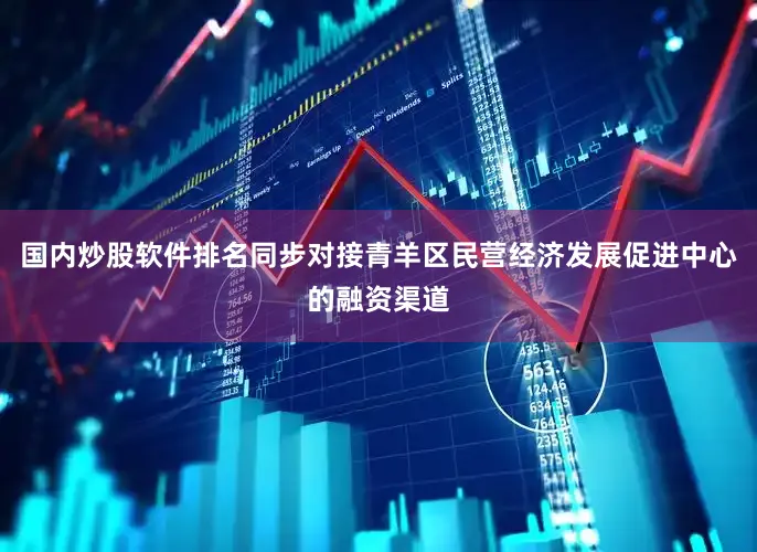 国内炒股软件排名同步对接青羊区民营经济发展促进中心的融资渠道