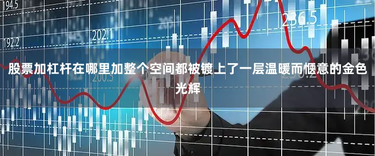 股票加杠杆在哪里加整个空间都被镀上了一层温暖而惬意的金色光辉